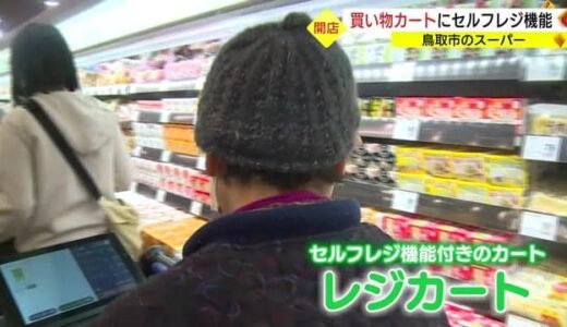鳥取市にディスカウントスーパーオープン買い物カートにセルフレジ機能導入で変わる買い物スタイル