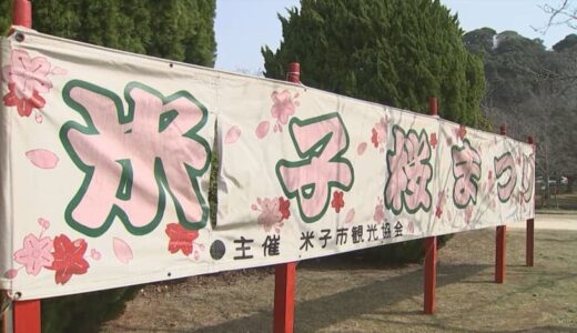 「米子桜まつり」４年ぶりにコロナ禍前の規模に戻して開催へ　飲酒もＯＫ、人数制限もなし