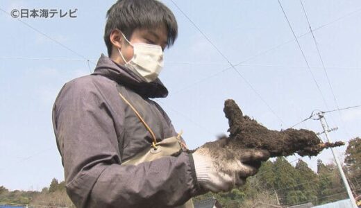 廃棄される前に自らの手で収穫を！長芋掘り　収穫が間に合わない農家を大学生が手助け　鳥取県鳥取市