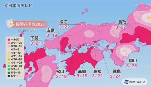 最新　山陰両県の桜の開花予想は３月２２日　スピード開花に祭りスケジュール前倒しも　島根県・鳥取県