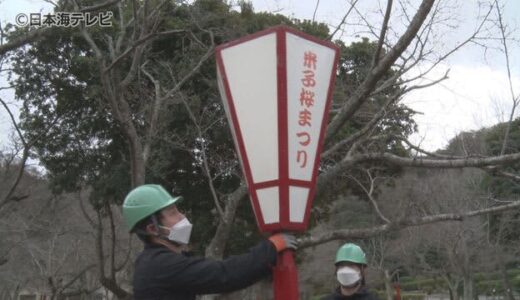今年は屋台も！“米子桜まつり”に向け準備　「楽しんでいただければ」　鳥取県米子市