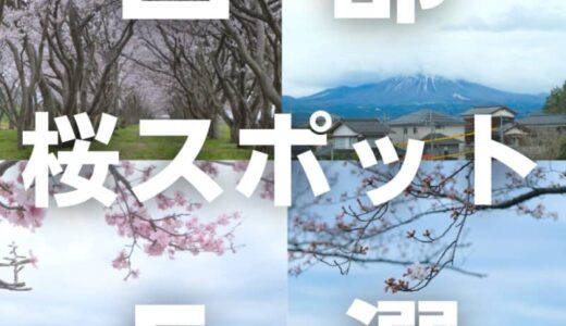 米子市や大山町など鳥取西部のさくら名所・お花見スポット5選！