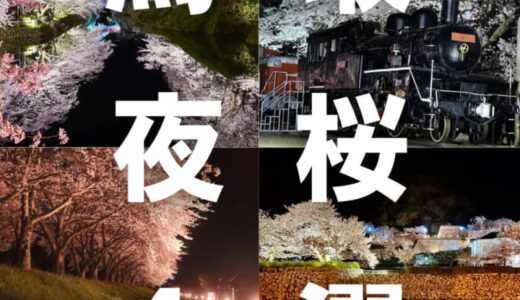 鳥取市・八頭郡でライトアップや夜桜を楽しめるスポット4選！