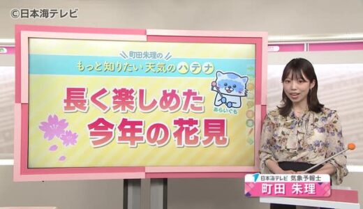 長く楽しめた今年の桜　なぜ長い期間花見を楽しめたのか？　気象予報士が解説　島根県・鳥取県