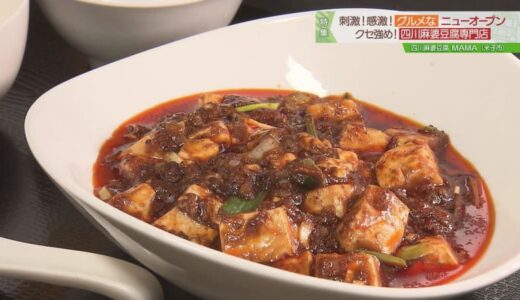 ビリビリ刺激的！本格的な四川麻婆豆腐専門店がオープン！｜米子市