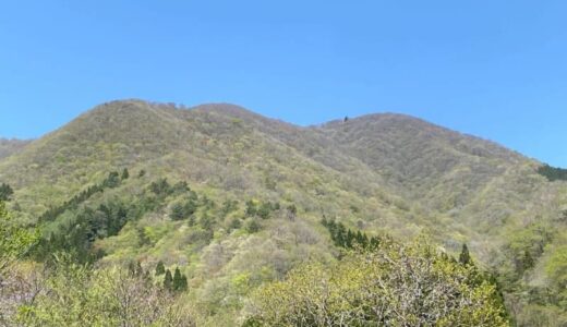バスと電車と足で行くひろしま山日記 第56回船通山（島根県奥出雲町・鳥取県日南町）