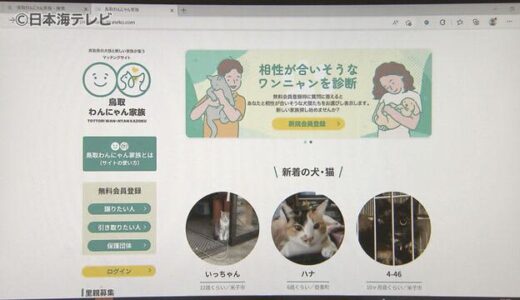 殺処分ゼロへ　犬猫のマッチングサイト開設『鳥取わんにゃん家族』　鳥取県