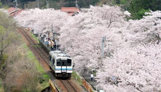 「撮り鉄」のマナー問題　「暴走」して撮った写真に心底満足か？　【コラム・明窓】
