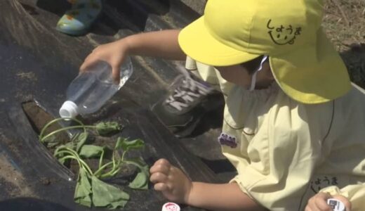 「大きくなあれ！」園児がサツマイモの苗植え　鳥取・鳥取市