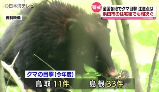 山陰でクマの目撃相次ぐ　遭遇時の対策は？　鳥取、島根両県合わせ２０件以上