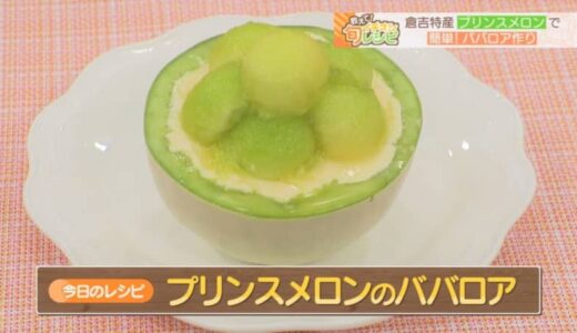 【プロに教わるレシピ】見た目も豪華！旬のプリンスメロンで作る「ババロア」【動画あり】