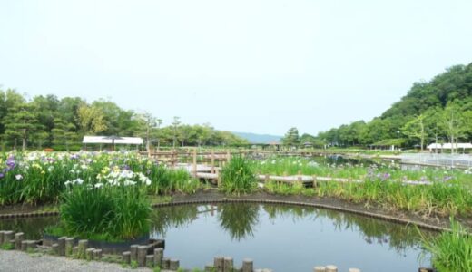［あやめ池公園］四季折々の花が楽しめるお出かけスポット！大人も子どもも楽しめます｜湯梨浜町