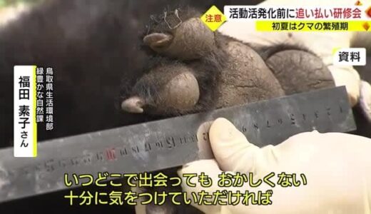 「トウガラシエキス」のスプレーや音や振動がすごい「煙火」でクマ撃退を学ぶ（鳥取県）