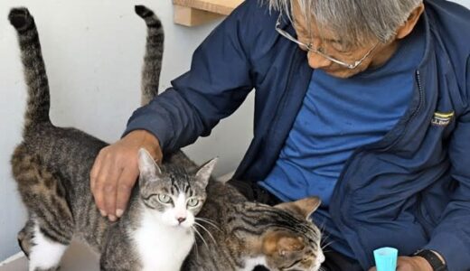 犬猫の殺処分ゼロに　譲渡サイトに期待　鳥取県
