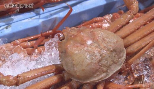 “カニの日”蟹取県がキャンペーンを発表　フォトコンテストなどで鳥取のカニの魅力を広く発信！　鳥取県