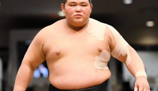 落合改め伯桜鵬　最速タイ所要3場所で新入幕　大相撲名古屋場所番付発表