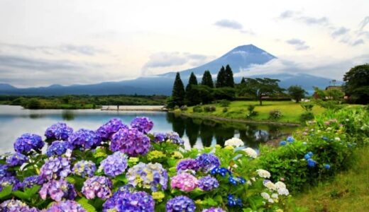 【全国旅行支援】2023年6月26日更新！7月以降も延長する都道府県まとめ