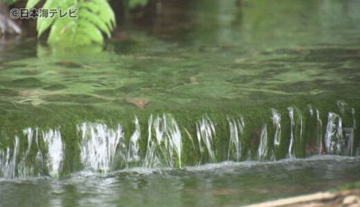 “ひんやり”名水百選『天の真名井』で涼を　「水が流れている分涼しい感じがしますね」　鳥取県米子市