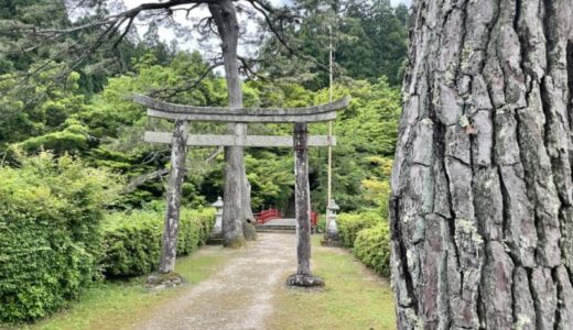 200段の階段の先にあるのは？ジブリの世界に入り込んだような幻想的な空間｜鳥取県若桜町