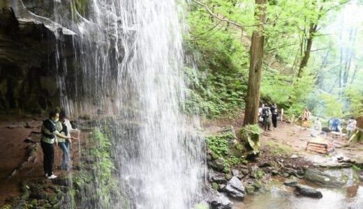 涼しさ別世界 「裏見の滝」満喫　鏡野、4年ぶりまつり