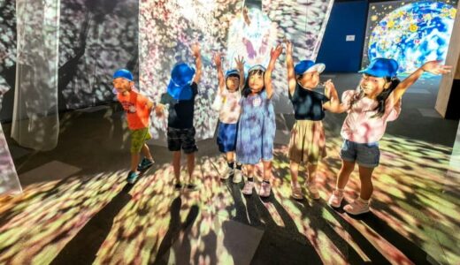 「何これ！」「きれい」　きょう夢みなとタワーで開幕　旅する光の切り絵展