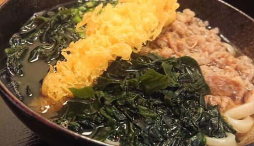 深夜まで営業している隠れ家的なうどん屋さん！甘めの出汁とコシのある自家製麺が味わえる｜鳥取市