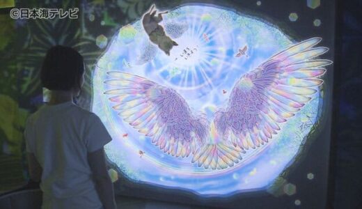“不思議な世界”切り絵と光とデジタルと…　中国地方で初の展示会　「凄く感動しました」　鳥取県境港市