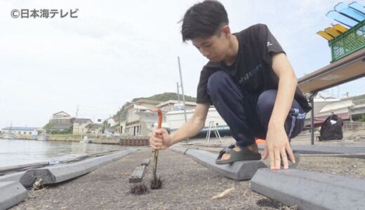 高校生が“ムラサキウニ”駆除の実証実験　地元の漁師のために…磯焼けの原因の一つの海の厄介者対策　鳥取県鳥取市青谷町