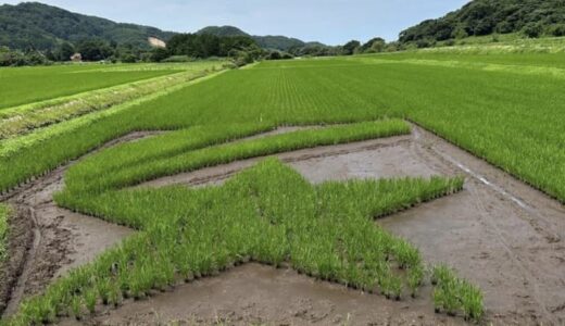 【鳥取和牛が当たる】星空舞5周年記念！「星形田んぼめぐりキャンペーン」開催中！2023年10月15日（日）まで。