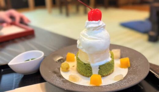 創業222年！老舗お茶屋さんで味わう“プジン”とは？抹茶好きにはたまらないスイーツがたくさん！｜米子市