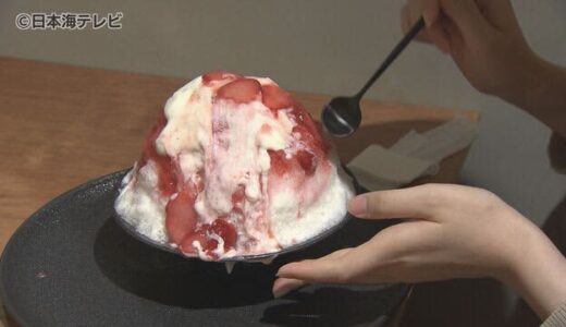 期間限定“映えるかき氷”が鳥取に初上陸！　鳥取県産のフルーツを使用したコラボメニューにも期待　鳥取県鳥取市