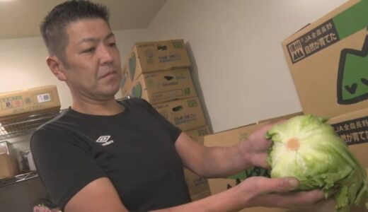 レタス・キュウリ・ナス値上がりの気配　相次ぐ台風の影響が食卓へ…ナシやリンゴ高騰の可能性