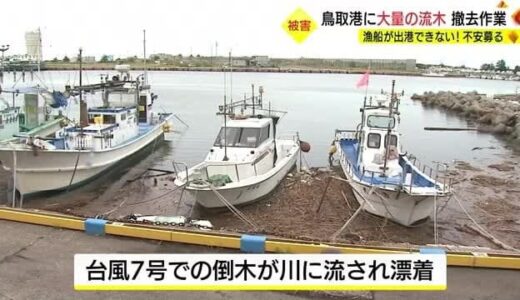 【台風７号】大量の流木が港に漂着　漁業への影響も懸念（鳥取市）