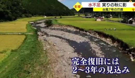 【台風７号】実りの秋に影　大雨で「堰」崩壊　田んぼに水の供給できず稲の生育遅れる（鳥取・八頭町）