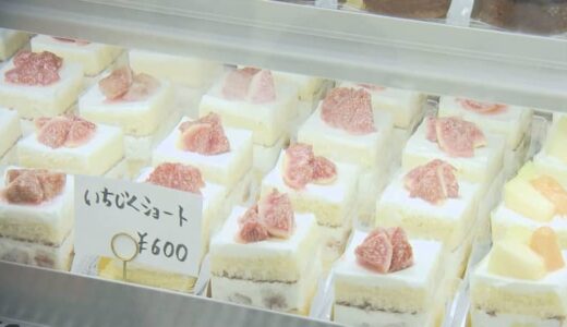 「コラボ」に「生絞り」スイーツも登場　人気店が大集合する「とっとりスイーツフェスタ」とは