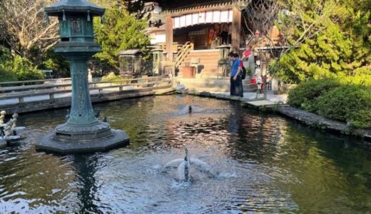 鳴門で「半農半フリーランス」はいかが？半農半Xシェアハウス事業体験レポートVol.6