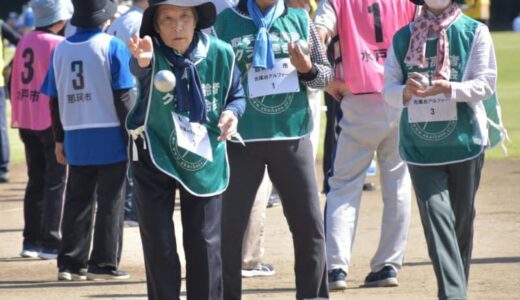 5種目で真剣勝負　茨城・ねんりんスポーツ大会　笠松運動公園