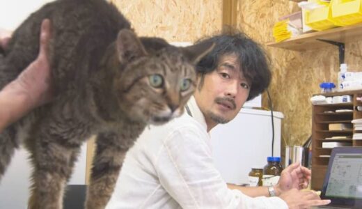 週に一度、小さな町で命と向き合う動物のお医者さん　人口4000人の町唯一の「動物病院」がオープン　犬・猫・ヤギの往診…なぜ山あいの町に？　