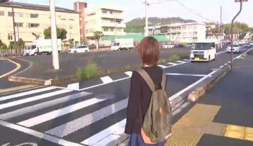 【JAF調査】「信号機のない横断歩道での一時停止」最も守られている都道府県は？ 3位：栃木県、2位：石川県、1位は...【47都道府県ランキング】