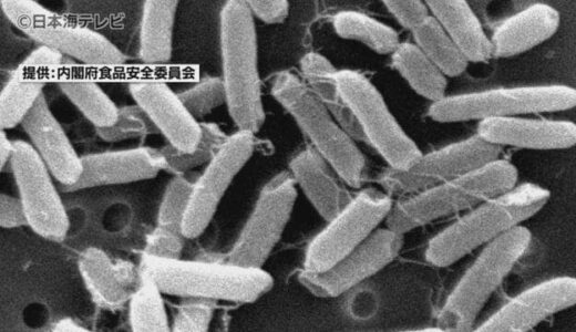 【なぜ？】“食中毒”が最も多い時期はなんと１０月！　１１月も夏場と変わらない数値に…　原因や対策方法は？