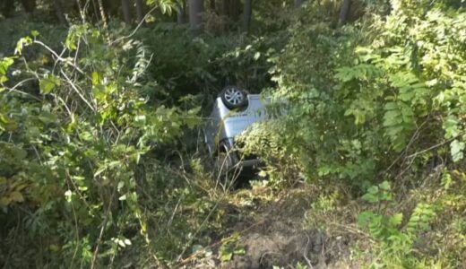 紅葉見ごろの大山で…山道で車が5メートル崖下に転落　脱輪して横転したか運転の50代女性は軽傷見込み　命に別状なし