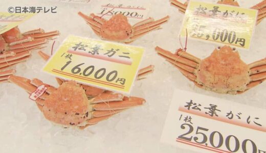 漁解禁のズワイガニが店頭に！　時化の影響などで価格が例年の2倍となるも…　「やっぱり冬はカニを食べに来なきゃ」　鳥取県鳥取市