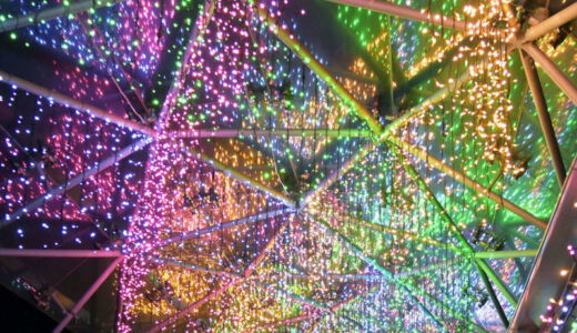 花園に100万球の彩り