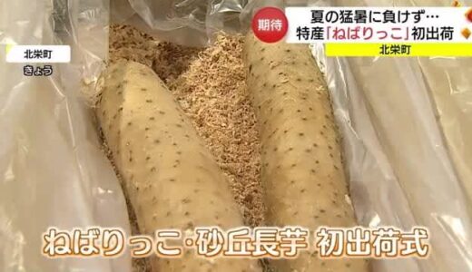 特産の長いも「ねばりっこ」今シーズンの初出荷　夏の猛暑と少雨乗り越え例年通りの出来に（鳥取・北栄町）
