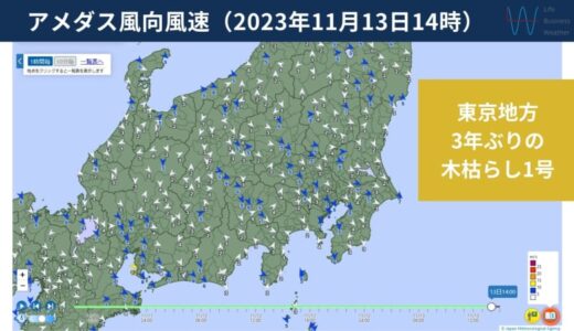 【号外】東京地方で3年ぶり木枯らし1号観測！季節の便り続々と