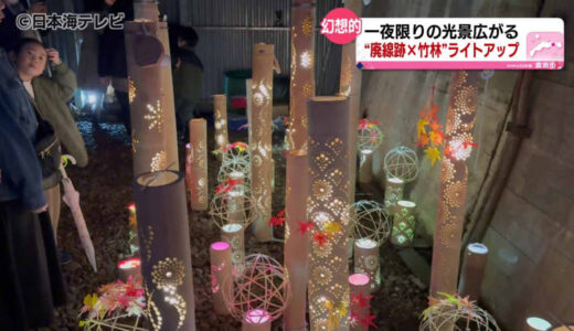 廃線×竹林×光　一夜限りの幻想的な光景広がる　鳥取県倉吉市