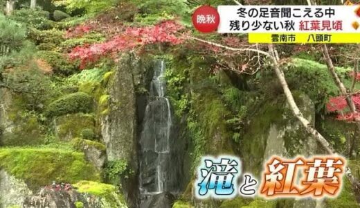 まだまだ見ごろ…山陰の紅葉スポット　石照庭園・清徳寺（島根・雲南市、鳥取・八頭町）
