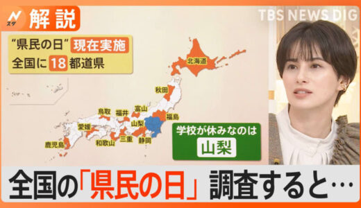 11月14日は「埼玉県民の日」ディズニーリゾートに埼玉県民が集結？“県民の日”は埼玉以外は？調べてみると【Nスタ解説】