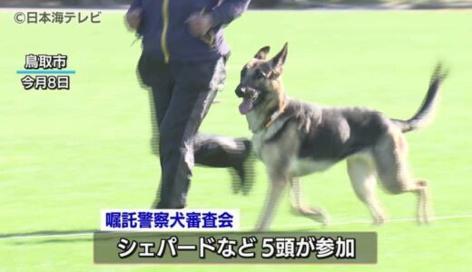 シェパードやラブラドールリトリーバーなどが参加　嘱託警察犬の審査会　合格で1年間活動　鳥取県鳥取市