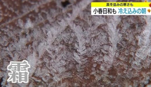 川霧に青空に映える雪の「大山」　冷え込み強まり冬の風景（島根・鳥取）
